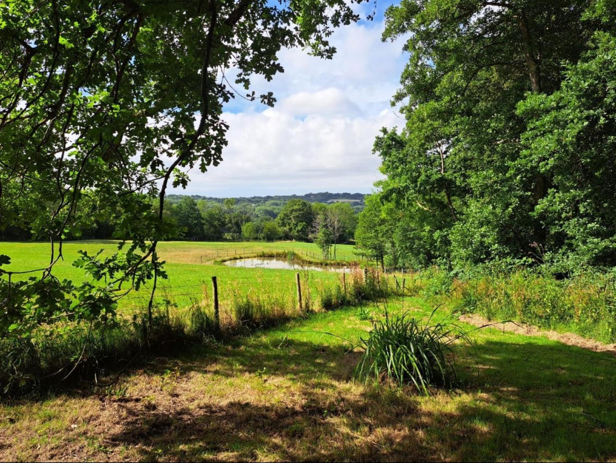Snug & Secluded Lakeside Shepherds Hut 'Carp' Uckfield Exterior foto